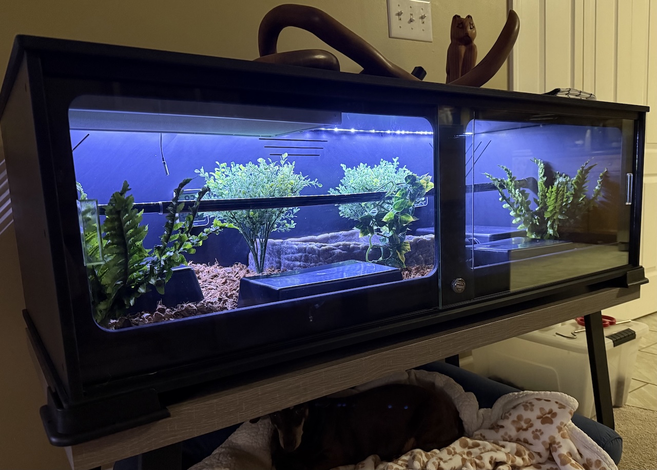 Harvey's New Home