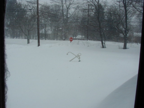 frontyard