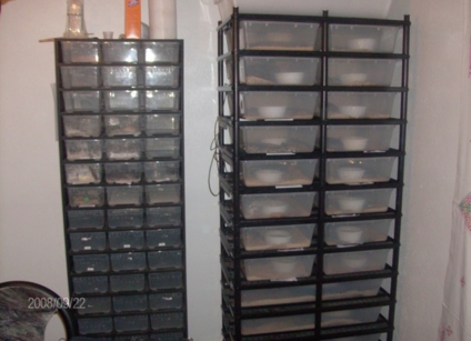 Vision Racks And Animal Plastic
